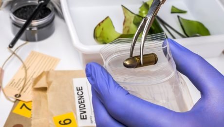 balistik bilimi nedir