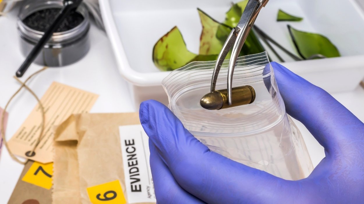 Balistik Nedir balistik bilimi nedir